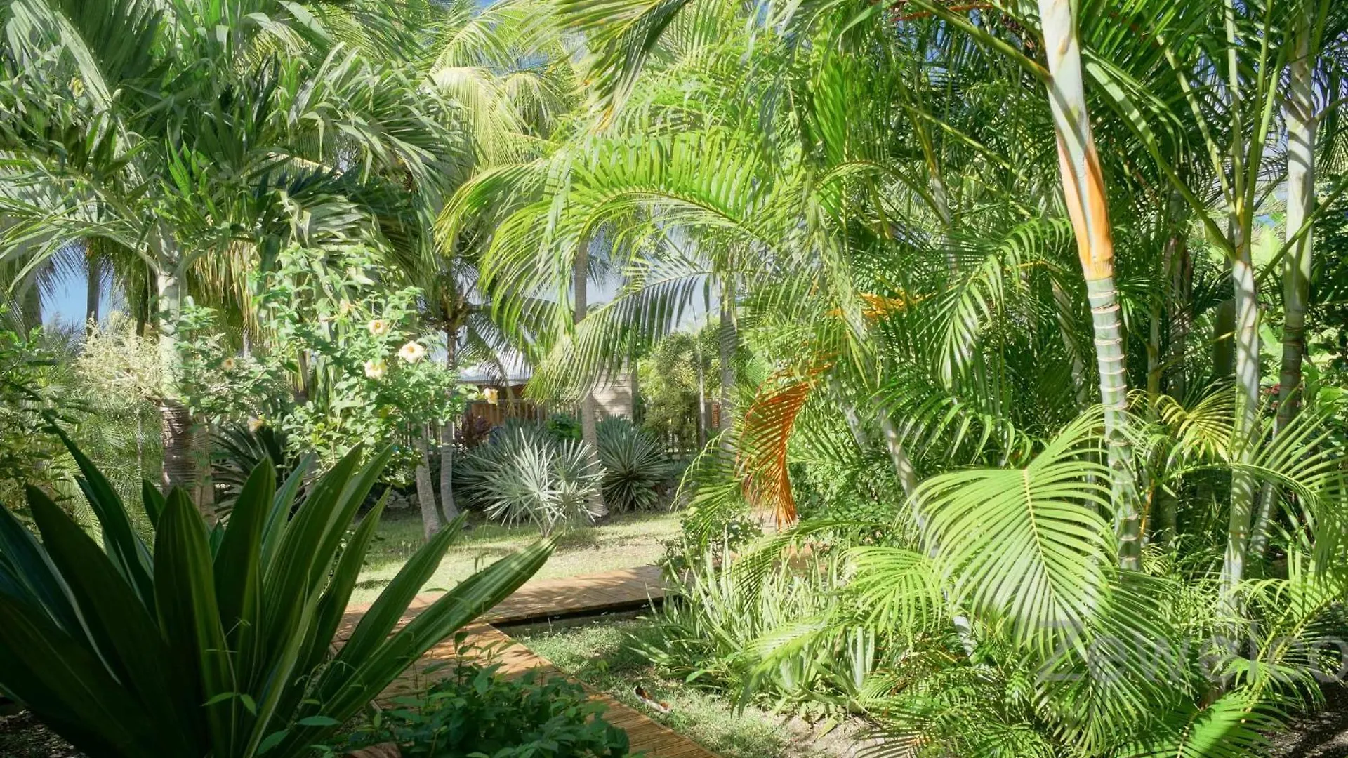 Casa vacanze Bungalow Physalis Saint-Francois